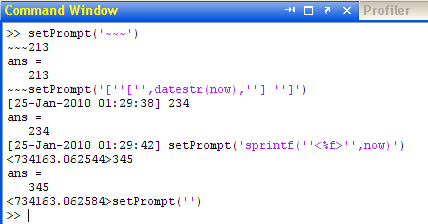 setPrompt usage examples